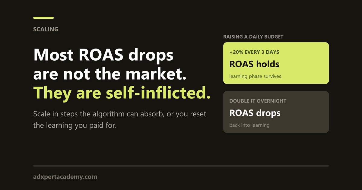 Raising a daily budget by twenty percent every three days holds ROAS while doubling it overnight resets the learning phase