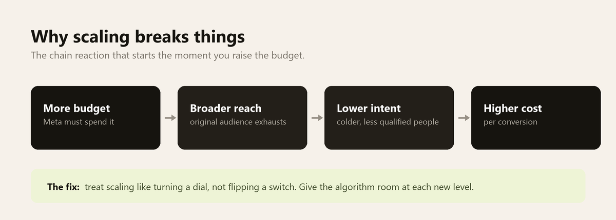 Chain diagram: more budget leads to broader reach, lower purchase intent and higher cost per conversion
